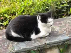 王子神社の動物