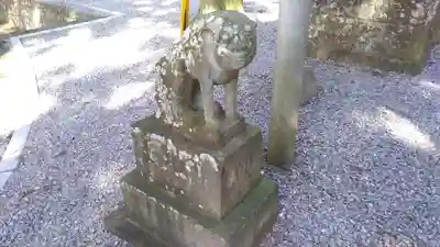 間々田八幡宮の狛犬