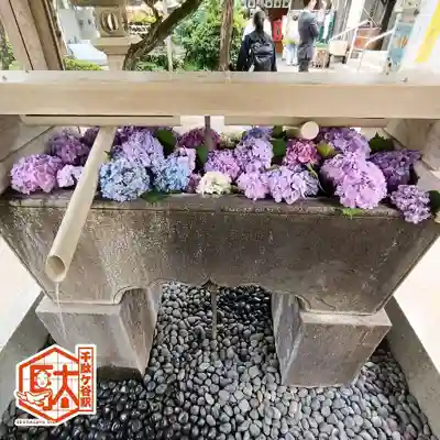 鳩森八幡神社(東京都)