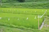 高屋敷稲荷神社の景色