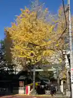 湯島天満宮(東京都)