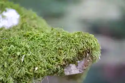 石上神宮(奈良県)