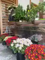 美奈宜神社(福岡県)