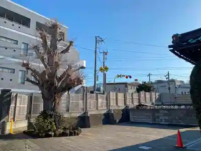 延命寺のその他建物