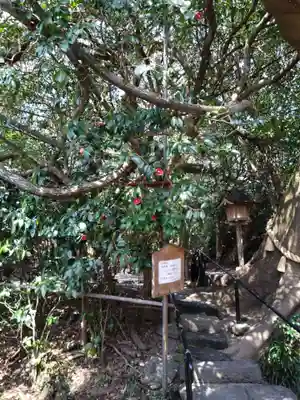 八大龍王水神(宮崎県)