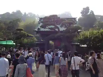 長谷寺(神奈川県)