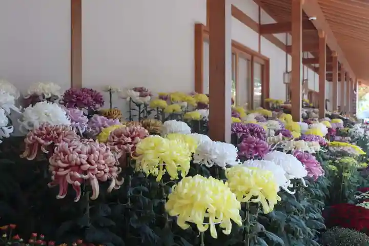美奈宜神社(福岡県)