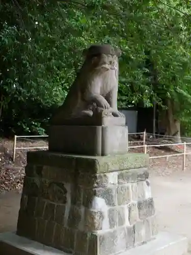 中山神社の狛犬