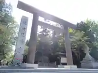 北海道神宮の鳥居