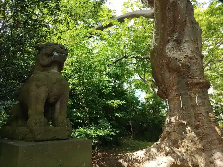 愛宕神社(福島県)
