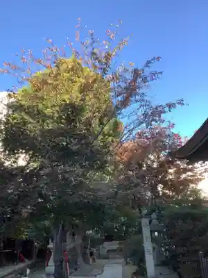 三輪神社のその他建物