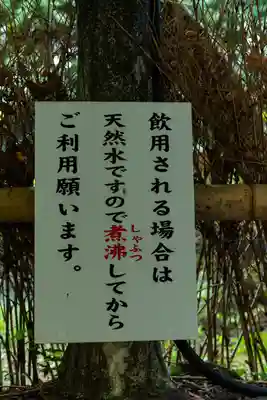 富士山本宮浅間大社(静岡県)