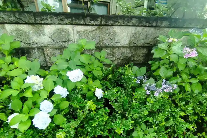 田無神社(東京都)