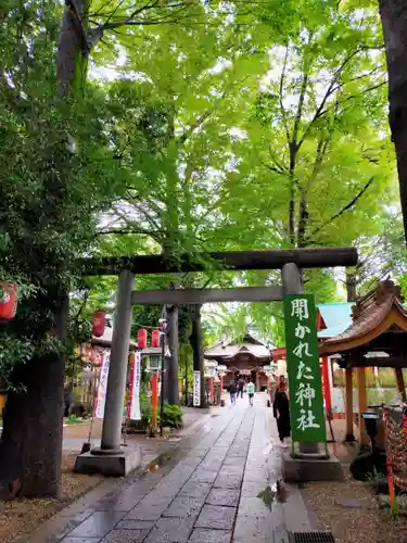 田無神社の鳥居