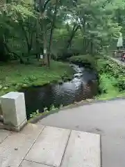 戸隠神社奥社の庭園