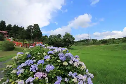 高屋敷稲荷神社の庭園