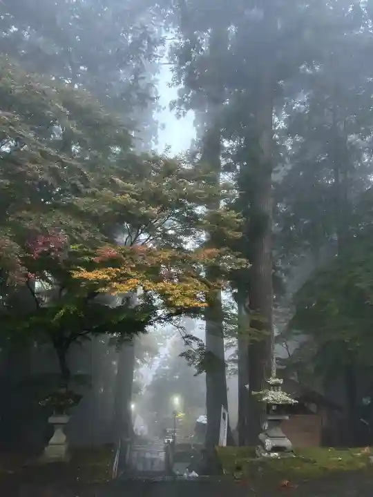 金櫻神社(山梨県)