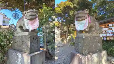菊田神社の狛犬