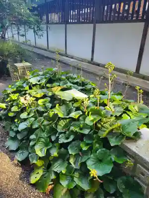沙沙貴神社(滋賀県)