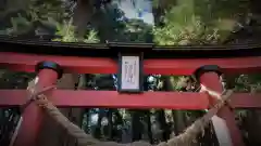 大宮温泉神社の鳥居