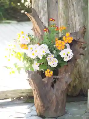 明月院(神奈川県)