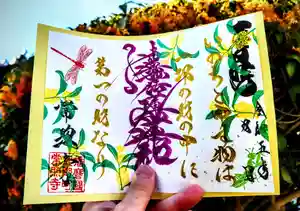 たつの市 常照寺の御朱印(2023年10月19日(木) 12時37分25秒投稿)