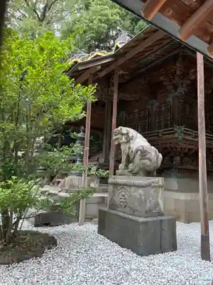 川越氷川神社(埼玉県)
