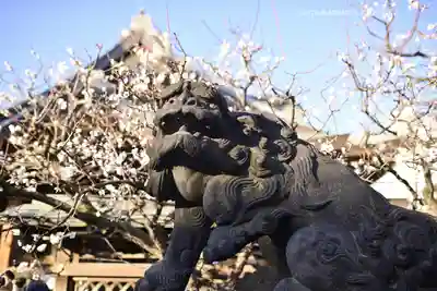 湯島天満宮(東京都)