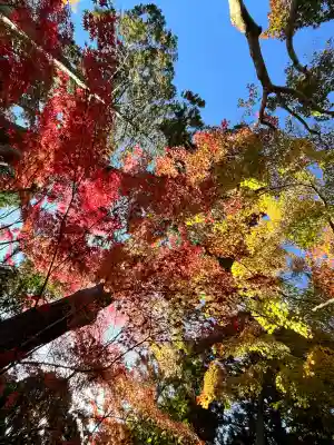 国宝 長寿寺(滋賀県)