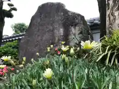 信行寺の建物その他