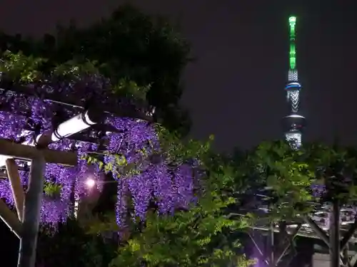 亀戸天神社の景色