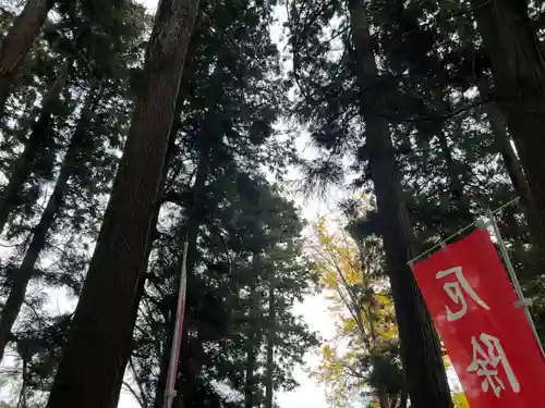大宮温泉神社(栃木県)
