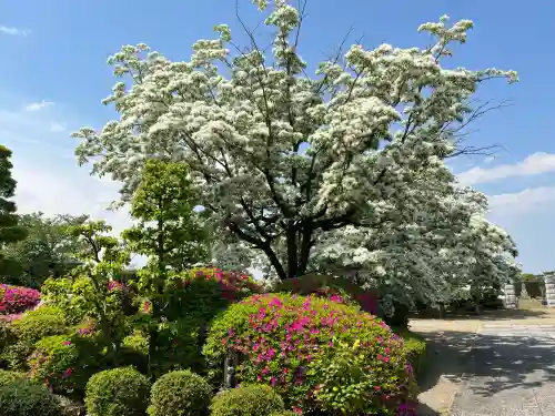 少林寺(岐阜県)