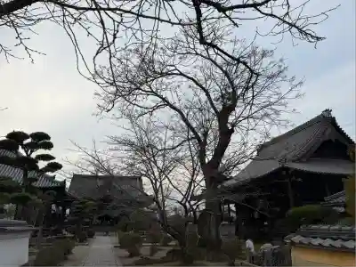 橘寺(奈良県)