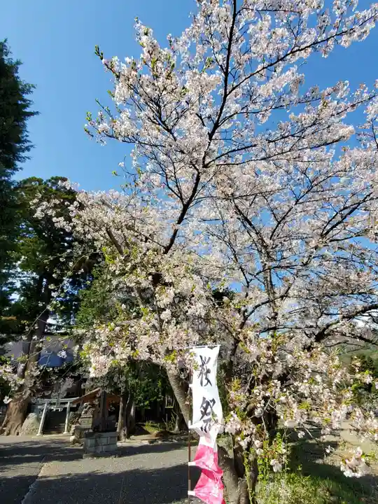 高司神社〜むすびの神の鎮まる社〜の自然