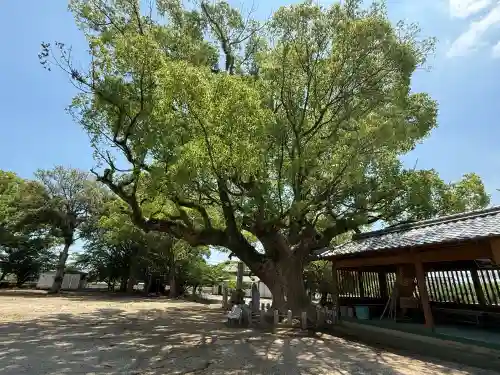 大善寺玉垂宮(福岡県)