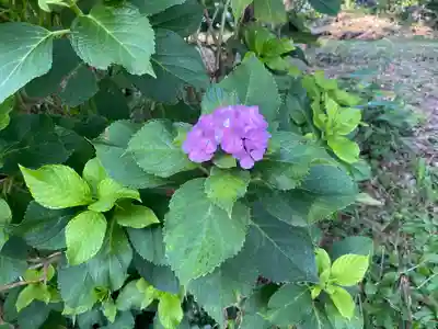 櫛田神社(富山県)