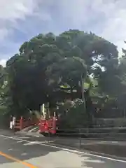 伊古奈比咩命神社の周辺