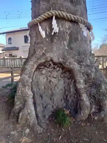 廣瀬神社(埼玉県)
