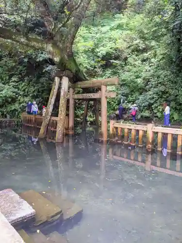 鹿島神宮の鳥居