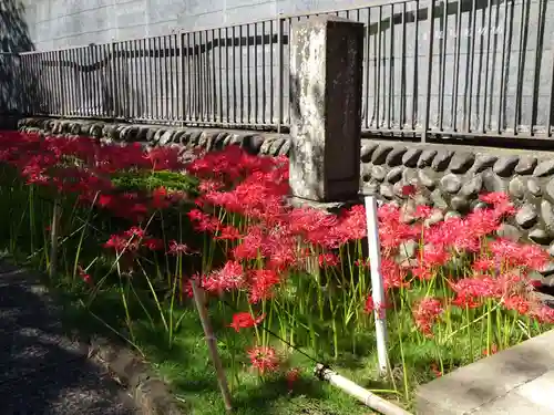 横浜　西方寺の自然