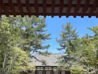 唐招提寺の{uncategorized: "未分類", other: "その他", undefined: "問題あり", building: "その他建物", grave: "お墓", sacred_gate: "鳥居", guardian: "狛犬", statue: "像", buddha: "仏像", history: "歴史", nature: "自然", garden: "庭園", animal: "動物", pagoda: "塔", temizu: "手水舎", mountain_gate: "山門・神門", sanctuary: "本殿・本堂", subordinate: "末社・摂社", art: "芸術", scenery: "景色", jizo: "地蔵", ema: "絵馬", goshuin: "御朱印", omikuji: "おみくじ", items: "授与品その他", amulet: "お守り", goshuincho: "御朱印帳", eats: "食事", festival: "お祭り", votive_dance: "神楽", shichigosan: "七五三参", wedding: "結婚式", experience: "体験その他", initially: "初詣", around: "周辺", anti_infection: "感染症対策"}