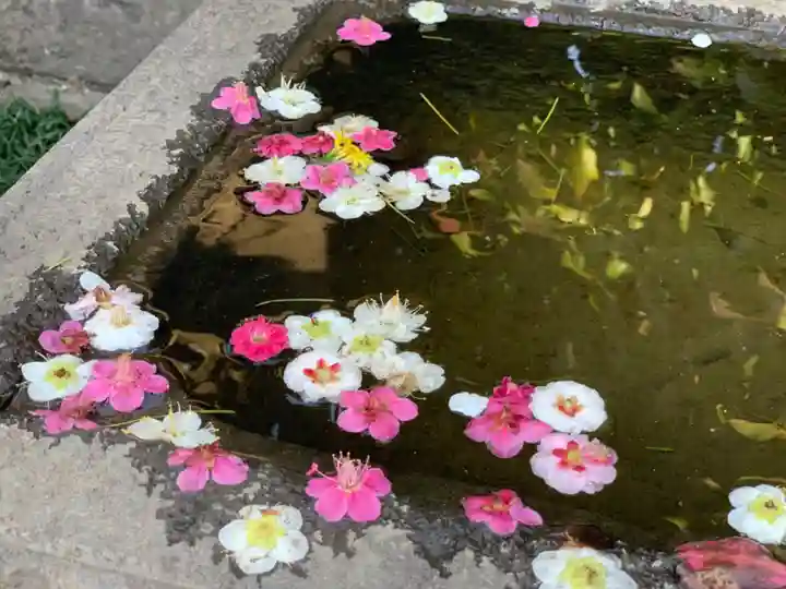 薭田神社の手水舎