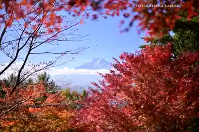 新倉富士浅間神社(山梨県)