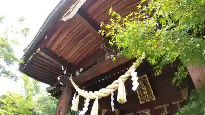 行田八幡神社(埼玉県)