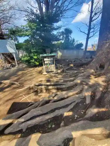 宮鍋神社(群馬県)