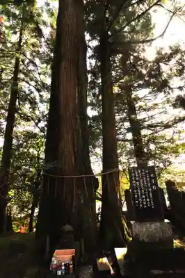 諭鶴羽神社(兵庫県)