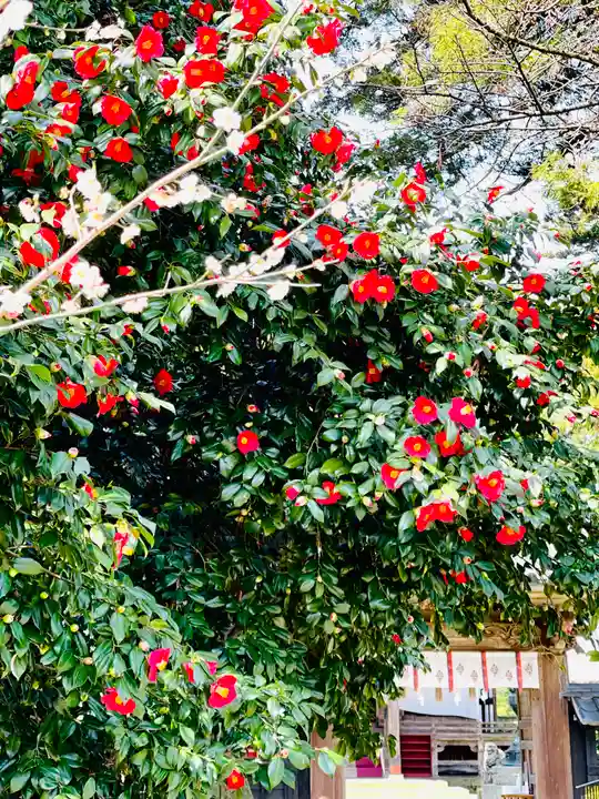 守りの神 藤基神社の自然