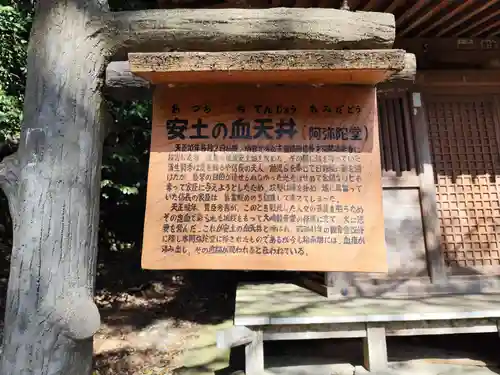 大崎寺(滋賀県)