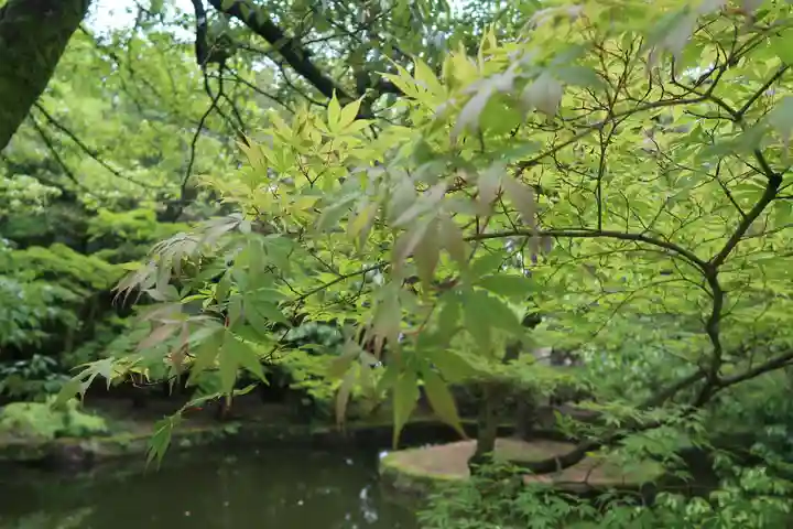 唐招提寺の庭園